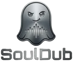 SoulDub video translation